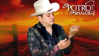 El Potro De Sinaloa  Puros Corridos Mix 2021 [upl. by Einiffit]