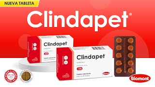 Clindapet®  Laboratorios Biomont [upl. by Nivlam71]