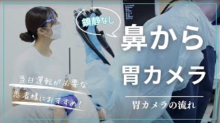 ＜鎮静なし・鼻から＞胃カメラの流れ 運転が必要な患者様向け【かがみ消化器内科クリニック｜GIF1200N・EVISX1｜TXI・NBI】 [upl. by Ynohta400]