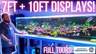 2 Incredibe Display Tanks  SPS and Gonipora Galore [upl. by Accever948]