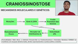 Craniossinostose  Trabalho Embriologia  UFAL [upl. by Ahsinom]