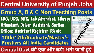 Central University of Punjab Non Teaching Staff Recruitment 2024  Permanent Group A B amp C Posts [upl. by Yahsram595]