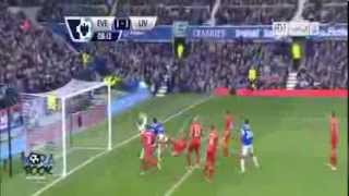 Everton vs Liverpool 3 3 All Goals23 11 2013 [upl. by Neyut735]