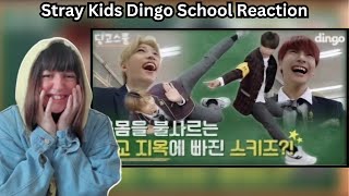 STRAY KIDS DINGO SCHOOL AEYGO IS CRINGING ME OUT  Dingo School Reaction [upl. by Elysha]