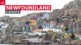 Canada Road Trip Best Things To Do In Newfoundland [upl. by Ck]