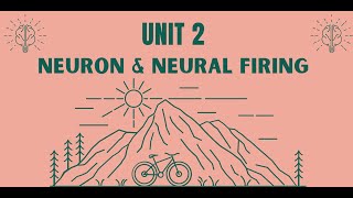 Unit 2 Neuron Notes 2 AP Psychology [upl. by Eynobe]