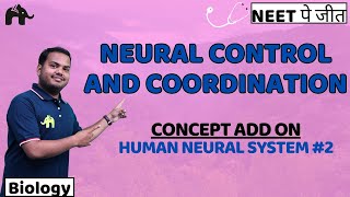 Neural Control and Coordination Class 11 Biology NEET  NCERT Chapter 18  Human Neural System 2 [upl. by Bausch]