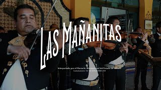 MARIACHIS EN TOLUCA Y METEPEC  Mariachi Internacional del Estado de México en VIVO [upl. by Lon807]