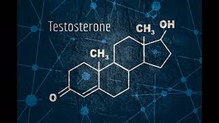 The Kingdom of Test Activation 3D Testosterone Release Subliminal 💉🧬♂️ [upl. by Pierrette44]