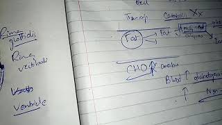 PITUTARY GLAND with HORMONES PHYSIOLOGY ch 76 guyton fast and easy review part 3 [upl. by Yema]