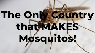 The Only Country that MAKES Mosquitos [upl. by Bate]