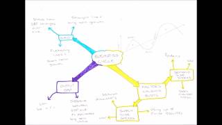 The Economic Cycle [upl. by Karl]