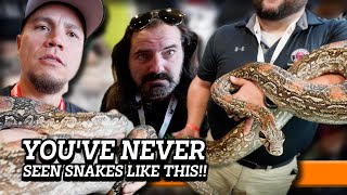 What REALLY HAPPENED at the Tinley Park Reptile Show 2024 with davkaufmansreptileadventures [upl. by Htebazle]