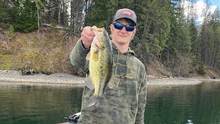 Bass fishing Montana in March 2024 [upl. by Zellner]