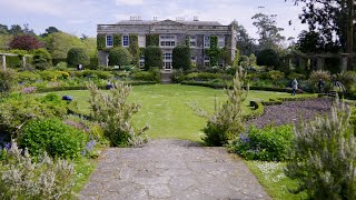 Journey to Giant’s Causeway and Mount Stewart in Northern Ireland [upl. by Enilorac]