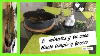 Aromatiza tu casa en 5 minutos con eucalipto [upl. by Lorsung]