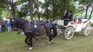 02 Kutschenwallfahrt Telgte 2019 Kutschenkorso auf der Planwiese  Pferdekutschen Pferdegespanne [upl. by Rora763]