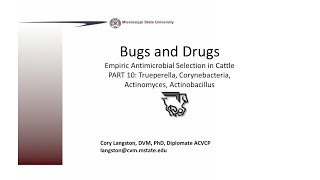 Empirical Antimicrobial Therapy in Cattle Part 10 Lumpy Jaw Wooden Tongue [upl. by Bergren]