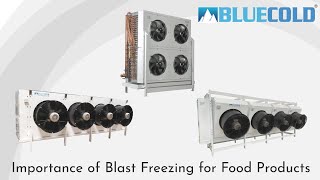 Importance of Blast Freezer  Blue Cold Refrigeration [upl. by Bloom]