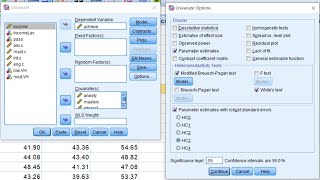 Multiple regression with Robust Standard Errors in SPSS February 2021 [upl. by Seidnac814]