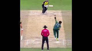 pak vs aus icc final matchaus win youtubeshorts shorts pak vs aus🤑 [upl. by Truc]