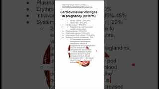 Cardiovascular changes in pregnancy at term [upl. by Waltner]