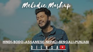 HindiBodoAssameseNepaliBengaliPunjabi ll Dilasa Basumatary ll Melodic Mashup [upl. by Eesak]