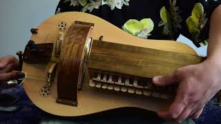 Amon Amarth Heidrun Hurdy Gurdy cover [upl. by Oirazan591]