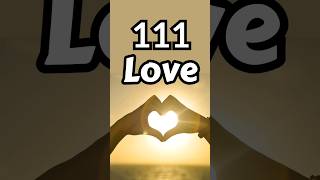 111 Love Angel Number Meaning [upl. by Recha638]