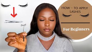 HOW TO Apply False EyeLashes For Beginners [upl. by Byler960]