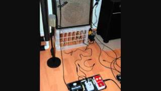 Hermida Reverb and Guyatone VT3 Tremolo w Tele [upl. by Htims]