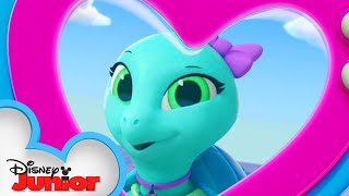 Sandy The Sea Turtle  Calling All TOTS  TOTS  disneyjr [upl. by Aneleve]