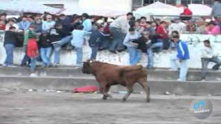 toros de mi pueblo vol 9 9 HD [upl. by Krute382]