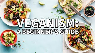 Veganism 101 A Beginners Guide [upl. by Pressey366]