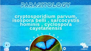 SDLL8 part1 cryptosporidium parvumisospora belli  sarcocystis hominis cyclospora Parasitology [upl. by Erdei]