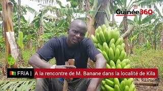 🇬🇳 Fria  A la rencontre de M Banane dans la localité de Kila [upl. by Irpac]