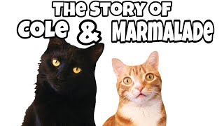 The Story of Cole amp Marmalade [upl. by Ashlie]