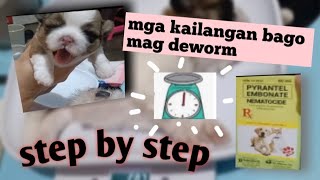 Paano mag deworm ng puppy  schedule ng pag deworm from puppy to adult [upl. by Calica]