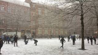 De eerste sneeuw [upl. by Virgin]