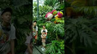 IKOTIN ANG BUONG JEWEL SINGAPORE AIRPORT EMELYN MONTERA CHANNEL [upl. by Malkin]