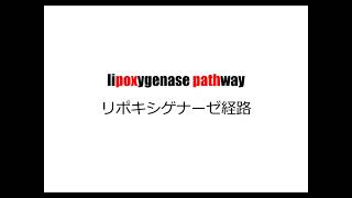 理系英単語リズミクス lipoxygenase pathway [upl. by Air13]