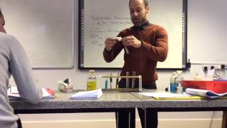 Transition metal ion Precipitation reaction demonstration from wwwChemistryTuitionNet [upl. by Beverlie]