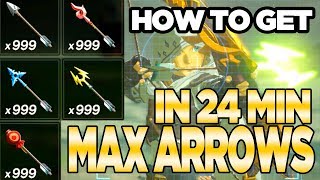 7 Ways to Get MAX ARROWS in Breath of the Wild  Austin John Plays [upl. by Nulubez]