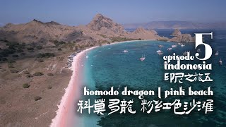 印尼之旅五 科莫多龍 粉紅色沙灘  Indonesia Episode 5  Komodo Dragon Pink Beach [upl. by Gilletta]