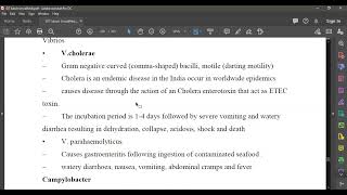 L132 MICRO Rest of Enterobacteriaceae [upl. by Nyvrem]