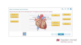 Hayden McNeil Anatomy and Physiology Content Collection [upl. by Musette435]