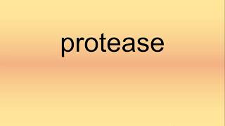 Protease Pronunciation  How to Say  How to Pronounce [upl. by Enyak472]