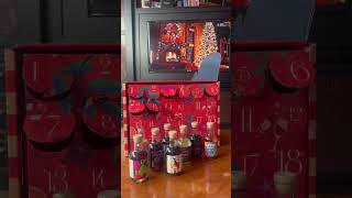 In Good Taste  2024 Wine Advent Calendar  Lauren Erions Review [upl. by Gorlin]