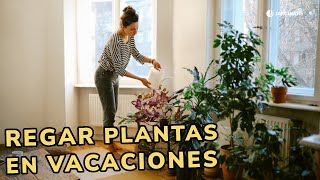 Regar plantas en vacaciones – Truco para que tus plantas no sufran [upl. by Wilsey505]