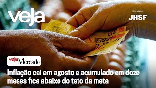 O indicador que vai na contramão do mercado e entrevista com Carla Beni [upl. by Eckel]